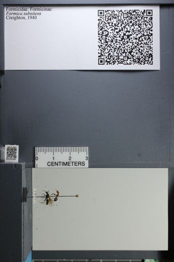 Media type: image;   Entomology 525324